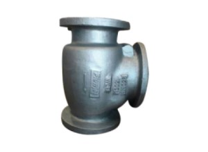 Check Valve